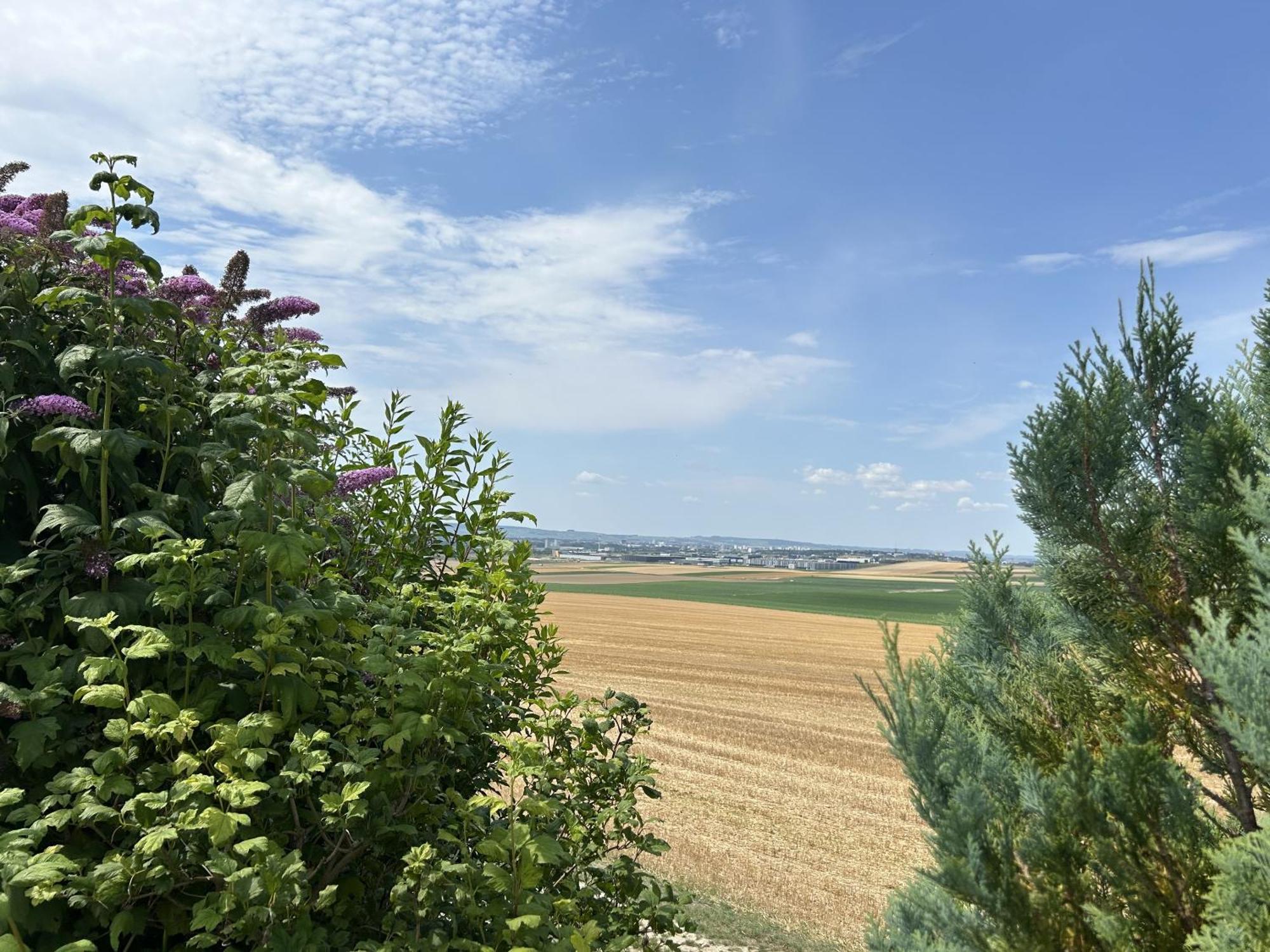 Вілла Le Charme Cernay-les-Reims Екстер'єр фото